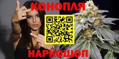 дживик Будённовск